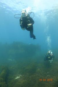 Dive Charters