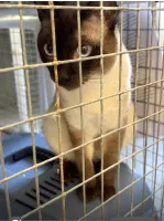 Gibraltar Veterinary Clinic
