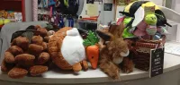 Gibraltar Veterinary Clinic
