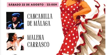 XXII Noche Flamenca Puente Mayorga 2026