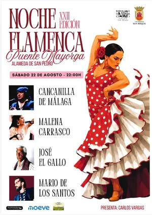 XXII Noche Flamenca Puente Mayorga 2026