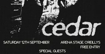 Cedar Live at O'Reilly's Arena Stage