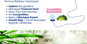 The Great Macaque Adventure