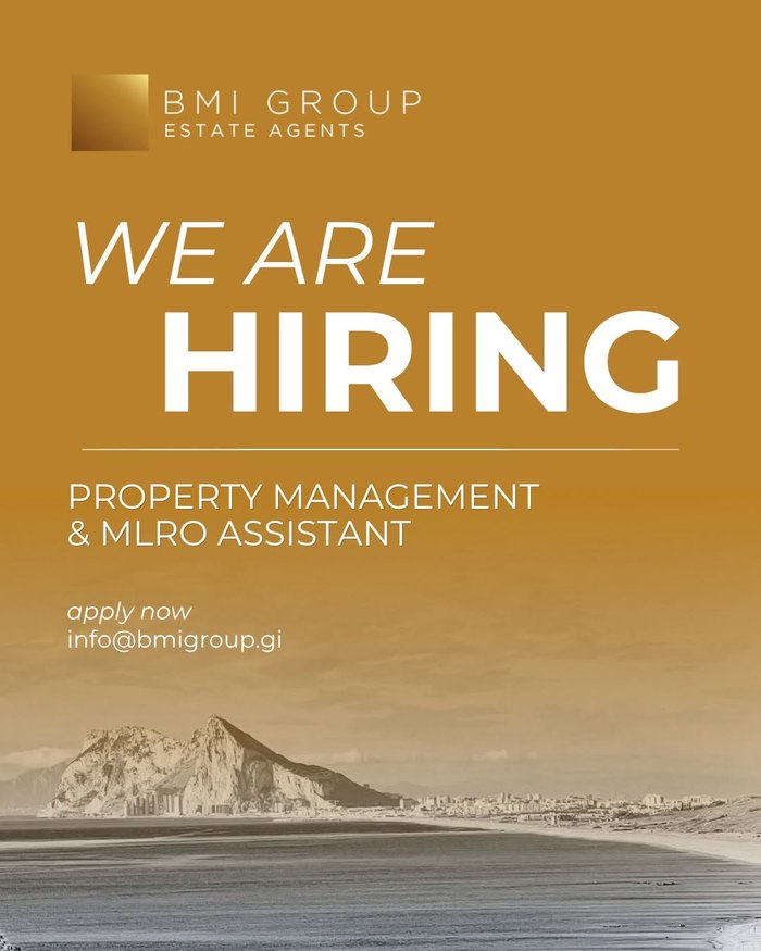 Property Management & MLRO Assistant