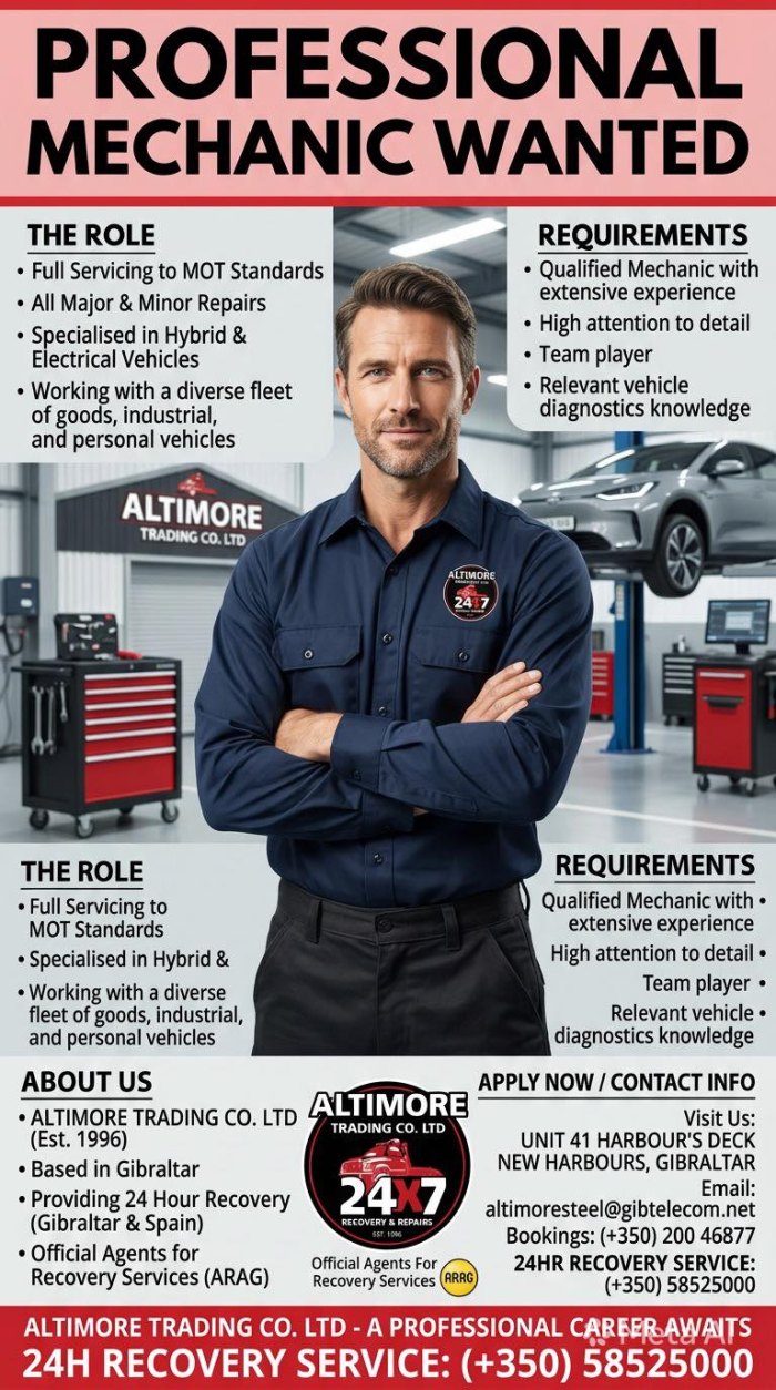 Professional Mechanic