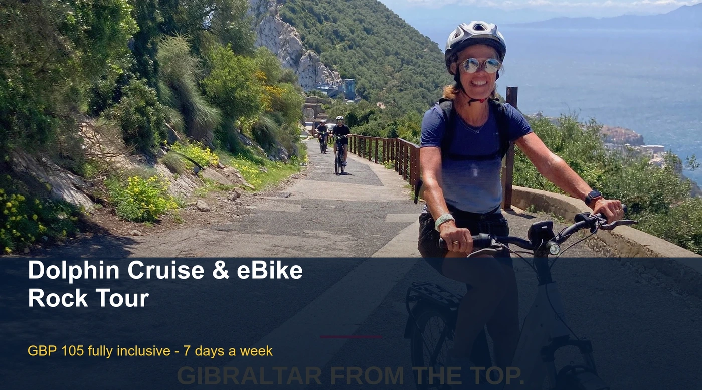 Dolphin Cruise & eBike Rock Tour for £105