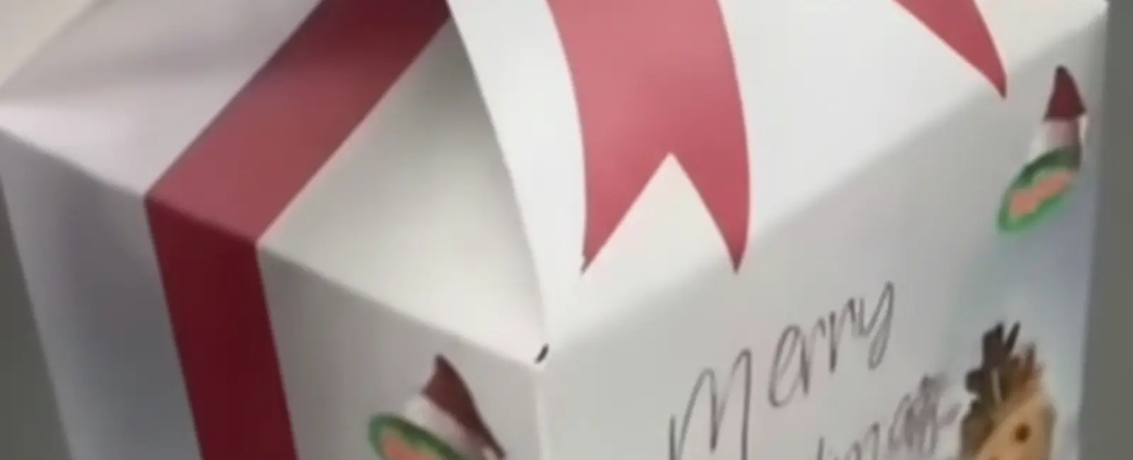 Christmas Gift Boxes for Cats!