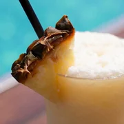 Aqua Pool Bar cocktail close-up