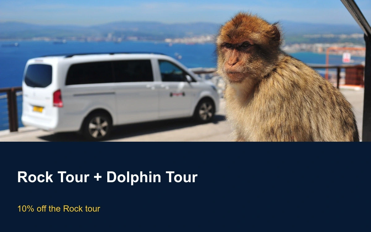 10% Off a Rock Tour with a Dolphin Tour