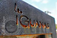 Las Iguanas