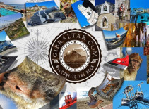 Be Seen Before Your Competitors!