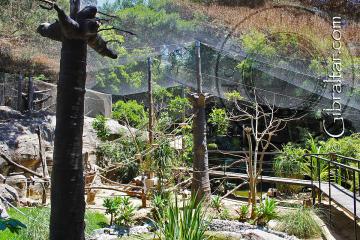 Paseo a través de la exhibición de Lémures en el Parque de Conservación de la Vida Silvestre Alameda