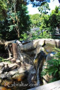 Hábitat de las nutrias en una cascada de agua,  Parque de Conservación de la Vida Silvestre Alameda