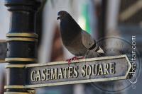 Grand Casemates Square Signpost