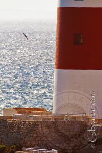 Partial Photo of the Gibraltar Lighthouse