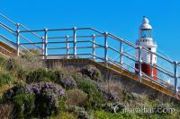 Europa Point Lighthouse Behind Stairs