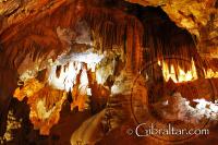 Wonderland Lower Saint Michael's Cave