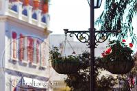 Hanging basket on Main Street Gibraltar