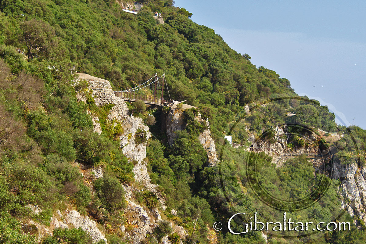 Windsor Suspension Bridge | Welcome to Gibraltar