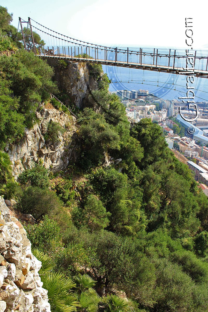 Windsor Suspension Bridge | Welcome to Gibraltar