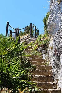 If hiking is something you love, the Mediterranean Steps in Gibraltar offer you an amazing long hike, with incredible views along the way. Find out more! ✅