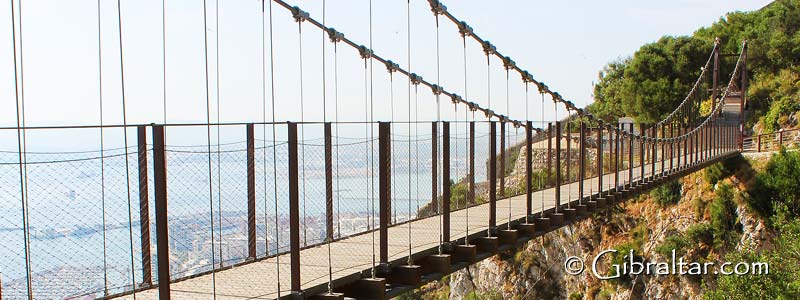 The Windsor Suspension Bridge is a 71m long thrill seekers attraction that is a definite must for all those visiting the Upper Rock Nature Reserve! ✅ 