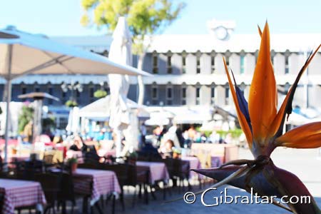 Es increíble pensar, que hace tan sólo veinte años, la Plaza Grand Casemates en Gibraltar era un aparcamiento de coches. Sin embargo, si visita la plaza en la actualidad, le dejará con un enfoque totalmente diferente. Con sus cafés y terrazas, el radiante sol y la pintoresca vista del famoso Peñón, la Plaza Grand Casemates es sin duda uno de los mejores lugares de descanso de Gibraltar. 